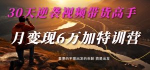 30天逆袭视频带货高手，单月变现6万加特训营-麦子甜-淘金日记