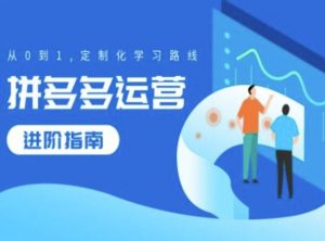 拼多多运营进阶指南,从0到1定制化学习路线-淘金日记