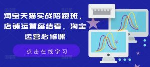淘宝天猫实战陪跑班，店铺运营终结者，淘宝运营必修课-淘金日记