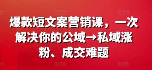 爆款短文案营销课，一次解决你的公域→私域涨粉、成交难题-淘金日记