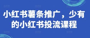 小红书薯条推广,少有的小红书投流课程-淘金日记