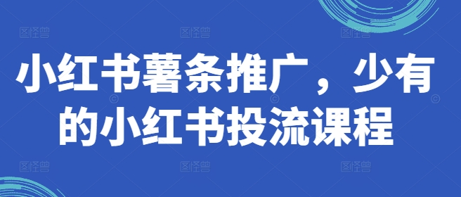 小红书薯条推广,少有的小红书投流课程-淘金日记