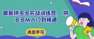 最新拼多多实战训练营, 拼多多从入门到精通-淘金日记