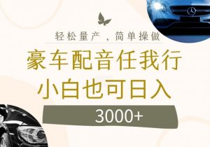 不为人知的暴力小项目，豪车配音，日入几张【揭秘】-淘金日记