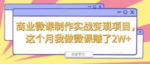 商业微课制作实战变现项目,这个月我做微课赚了2W+-淘金日记
