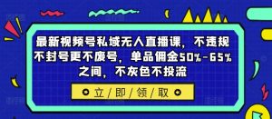 最新视频号私域无人直播课，不违规不封号更不废号，单品佣金50%-65%之间，不灰色不投流-淘金日记