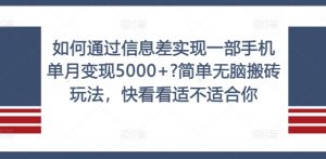如何通过信息差实现一部手机单月变现5000+?简单无脑搬砖玩法,快看看适不适合你【揭秘】-淘金日记