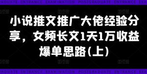 小说推文推广大佬经验分享,女频长文1天1万收益爆单思路(上)-淘金日记