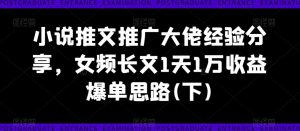 小说推文推广大佬经验分享，女频长文1天1万收益爆单思路(下)-淘金日记