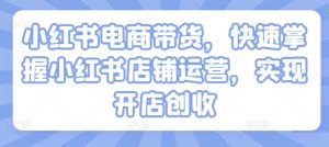 小红书电商带货,快速掌握小红书店铺运营,实现开店创收-淘金日记
