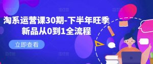 淘系运营课30期-下半年旺季新品从0到1全流程-淘金日记