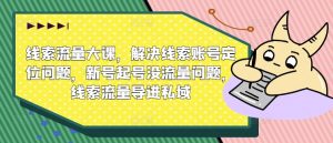线索流量大课,解决线索账号定位问题,新号起号没流量问题,线索流量导进私域-淘金日记