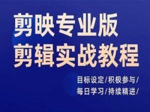 剪映专业版剪辑实战教程,目标设定/积极参与/每日学习/持续精进-淘金日记