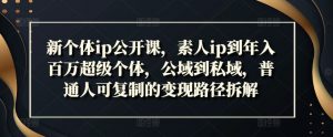 新个体ip公开课，素人ip到年入百万超级个体，公域到私域，普通人可复制的变现路径拆解-淘金日记