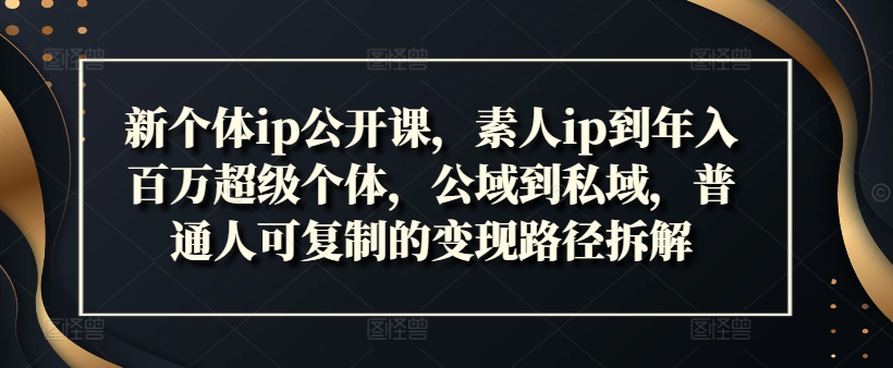 新个体ip公开课，素人ip到年入百万超级个体，公域到私域，普通人可复制的变现路径拆解-淘金日记