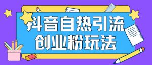 抖音引流创业粉自热玩法日引200+精准粉-淘金日记