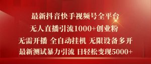最新抖音快手视频号全平台无人直播引流1000+精准创业粉,日轻松变现5k+【揭秘】-淘金日记