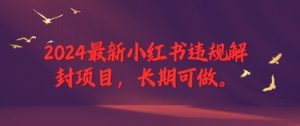 2024最新小红书违规解封项目,长期可做,一个可以做到退休的项目【揭秘】-淘金日记