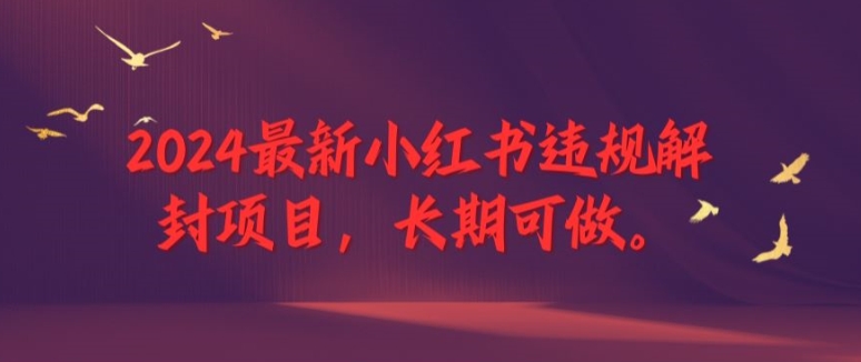 2024最新小红书违规解封项目,长期可做,一个可以做到退休的项目【揭秘】-淘金日记