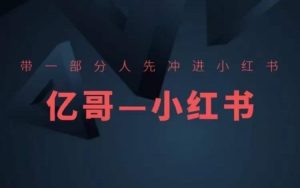 ​​带一部分人先冲进小红书，小红书开店、选品、爆款裂变-淘金日记