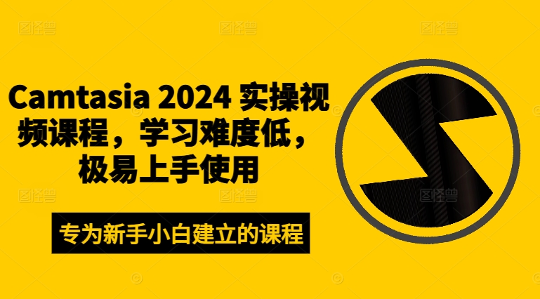 Camtasia 2024 实操视频课程，学习难度低，极易上手使用-淘金日记