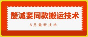 抖音96万粉丝账号【嫠㵄㚣】同款搬运技术-淘金日记