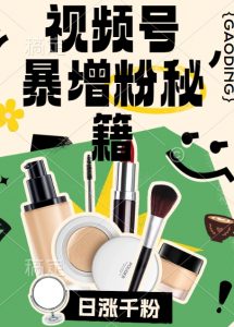 视频号涨粉方法，暴力起号，一天涨粉1000+，当天开橱窗【揭秘】-淘金日记
