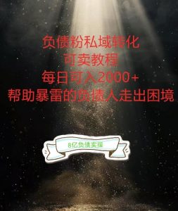 负债粉掘金计划，帮助负债者解决问题，债务规划，债务重组，最好的变现方式【揭秘】-淘金日记