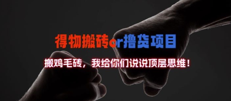 得物搬砖撸货项目?掰下数据,我给你们说说顶层思维【揭秘】-淘金日记
