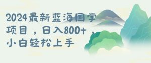 国学项目,长期蓝海可矩阵,从0-1的过程【揭秘】-淘金日记