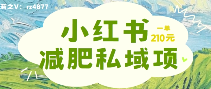 小红书减肥粉,私域变现项目,一单就达210元,小白也能轻松上手【揭秘】-淘金日记