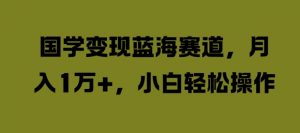 国学变现蓝海赛道，月入1W+，小白轻松操作【揭秘】-淘金日记
