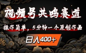 视频号共鸣赛道,操作简单,5分钟1个原创作品,日入几张【揭秘】-淘金日记