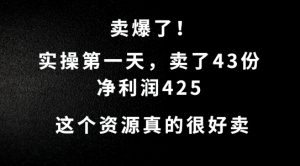 这个资源,需求很大,实操第一天卖了43份,净利润425【揭秘】-淘金日记