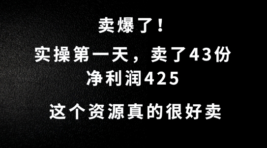 这个资源,需求很大,实操第一天卖了43份,净利润425【揭秘】-淘金日记