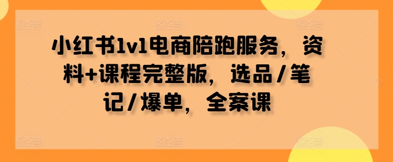 小红书1v1电商陪跑服务,资料+课程完整版,选品/笔记/爆单,全案课-淘金日记