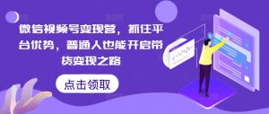 微信视频号变现营,抓住平台优势,普通人也能开启带货变现之路-淘金日记