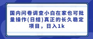 国内问卷调查小白在家也可批量操作(日结)真正的长久稳定项目,日入1k【揭秘】-淘金日记