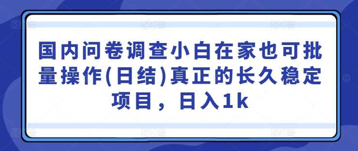 国内问卷调查小白在家也可批量操作(日结)真正的长久稳定项目，日入1k【揭秘】-淘金日记