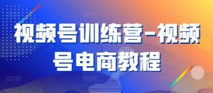 视频号训练营-视频号电商教程-淘金日记