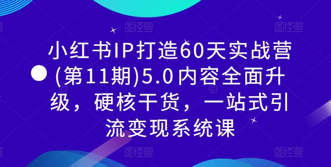 小红书IP打造60天实战营(第11期)5.0内容全面升级,硬核干货,一站式引流变现系统课-淘金日记