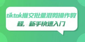 tiktok推文批量混剪操作教程，新手快速入门-淘金日记