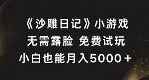 《沙雕日记》小游戏,无需露脸免费试玩,小白也能月入5000+【揭秘】-淘金日记