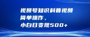 视频号知识科普视频,简单操作,小白日变现500+【揭秘】-淘金日记