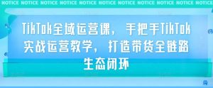 TikTok全域运营课,手把手TikTok实战运营教学,打造带货全链路生态闭环-淘金日记