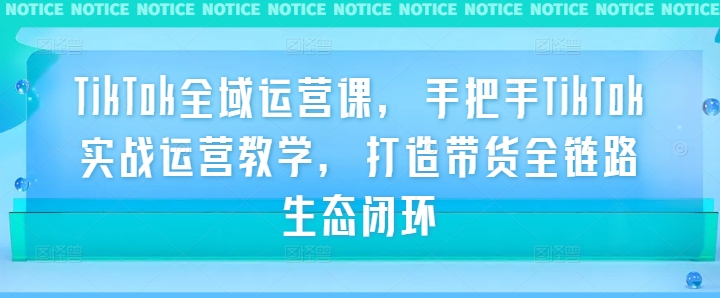 TikTok全域运营课，手把手TikTok实战运营教学，打造带货全链路生态闭环-淘金日记