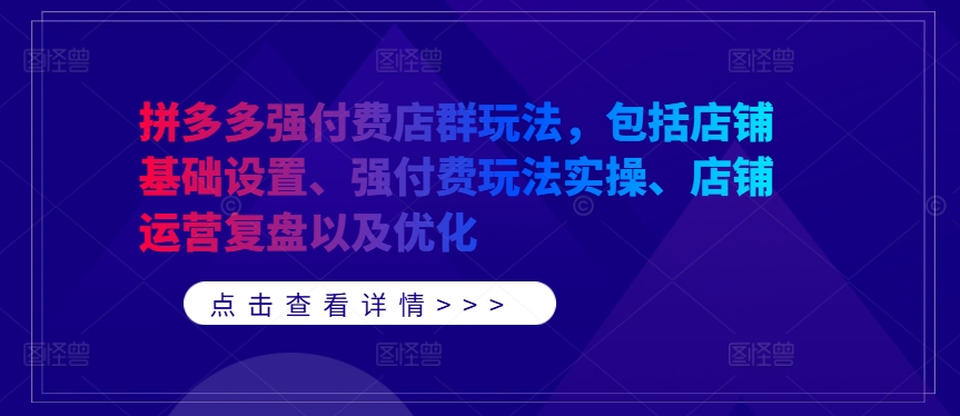拼多多强付费店群玩法,包括店铺基础设置、强付费玩法实操、店铺运营复盘以及优化-淘金日记