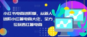 小红书电商进阶版，从新人进阶小红薯电商大佬，全方位玩透红薯电商-淘金日记
