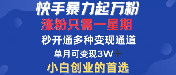 快手暴力起万粉,涨粉只需一星期,多种变现模式,直接秒开万合,单月变现过W【揭秘】-淘金日记