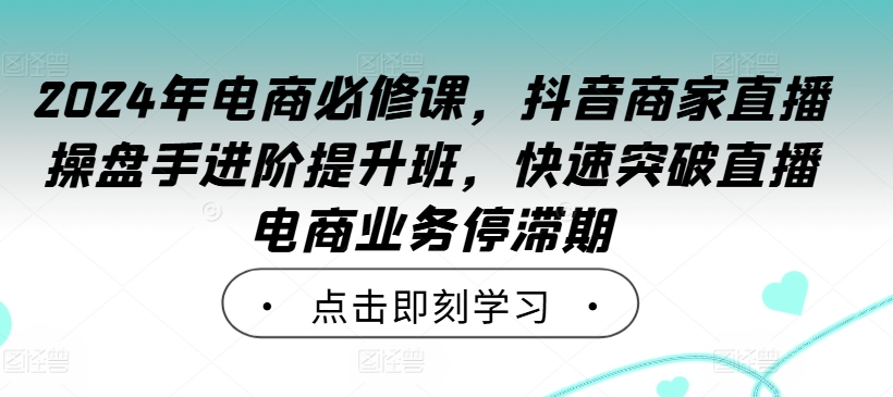 2024年电商必修课,抖音商家直播操盘手进阶提升班,快速突破直播电商业务停滞期-淘金日记